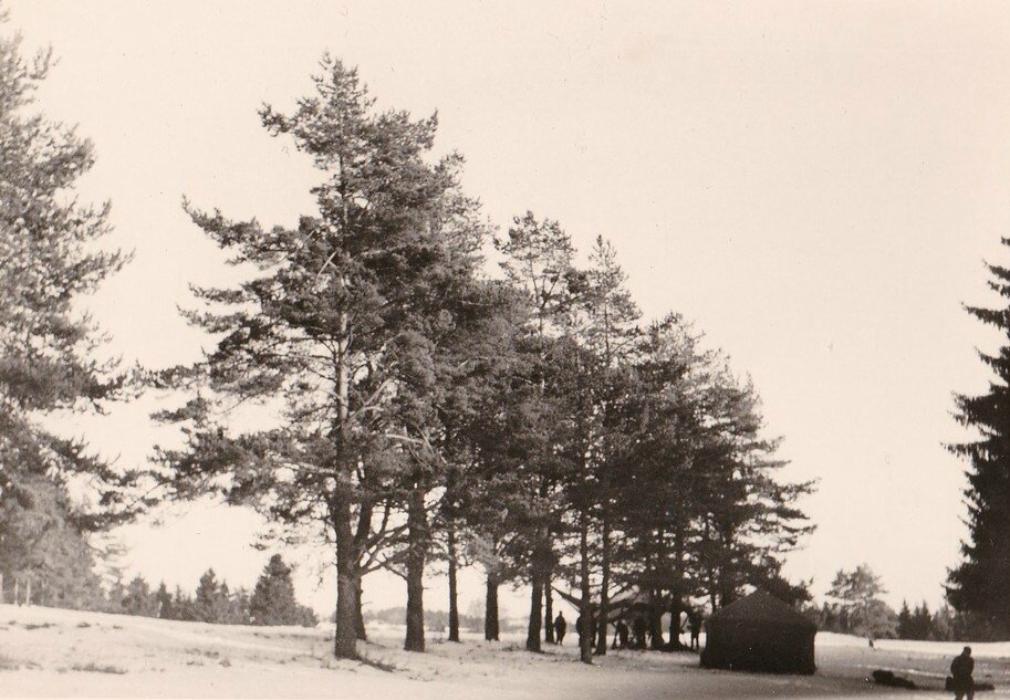 1964 C