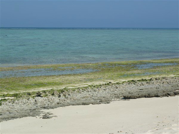 P1050604
