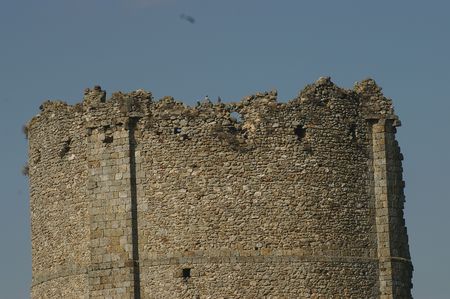 IMGP9954