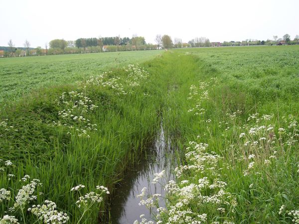 Oostkerke (62)