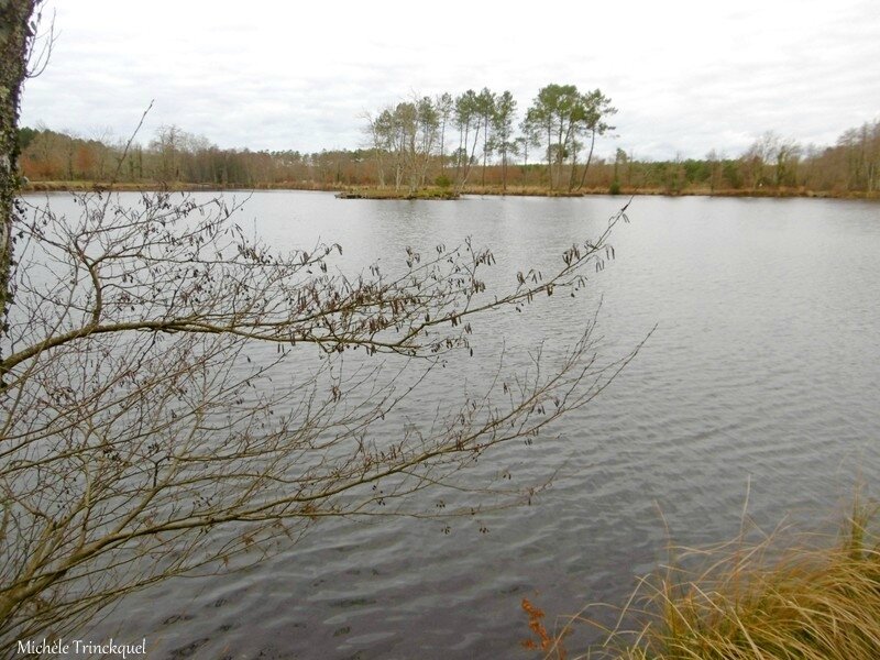 Etang de la Glacière 040118