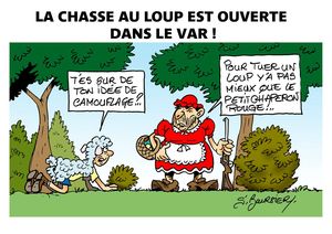 loup web