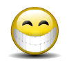 emoticon_msn_sourire_roule