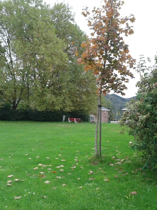 20141012_165101