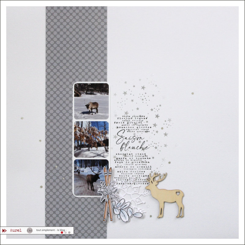 01 - 110121 - Page Saison blanche - Consignes Maryscrap #1