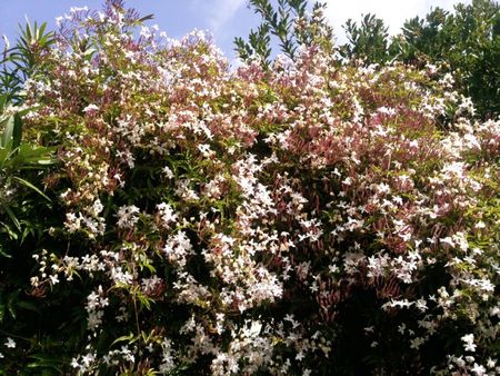 Photo2770