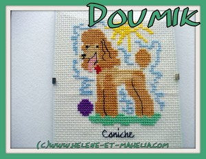 4 doumik_salnov21