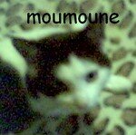 moumoune_1