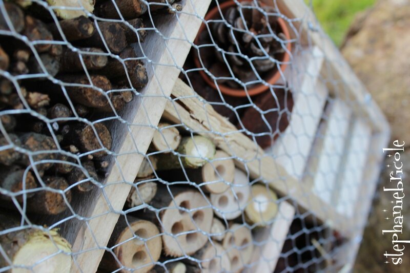 diy nichoir insecte, tuto maison insecte