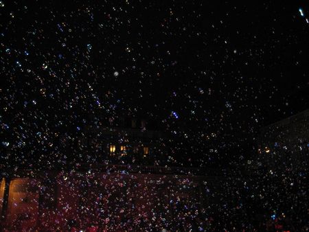 Photo 66861