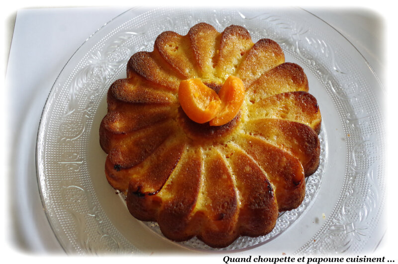 gâteau à l'abricot-0280