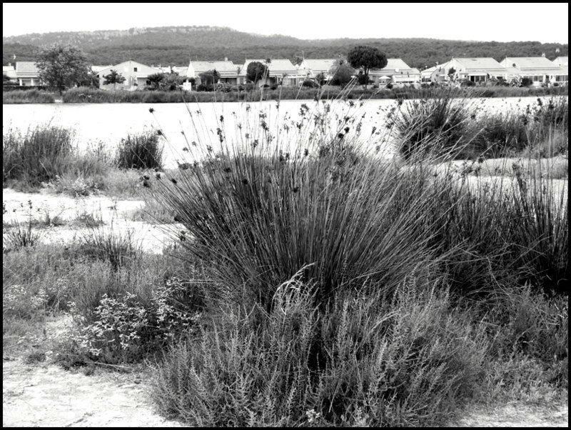 P1460269