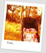 Fred