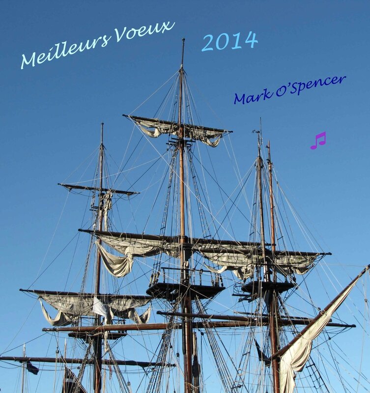 Voeux-MOS-2014