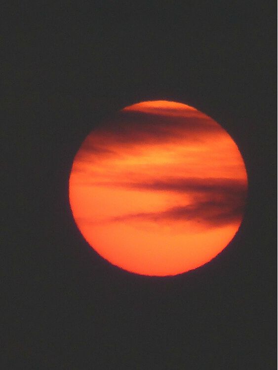 1P1020082
