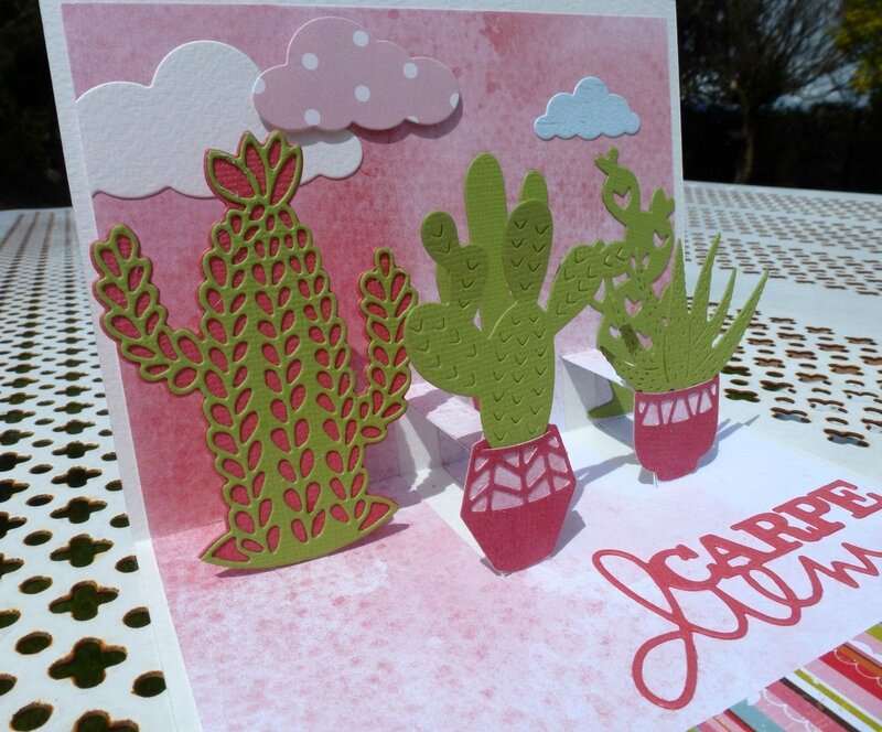 Pop-up-cactus4