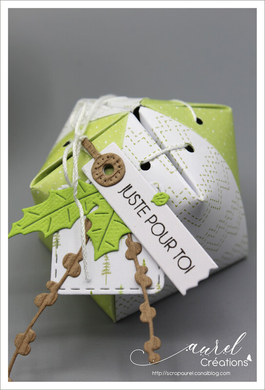 020120 - Super invitation à créer Noël 4 enscrap #5