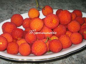 G_teau_et_compot_e_aux_arbouses_002