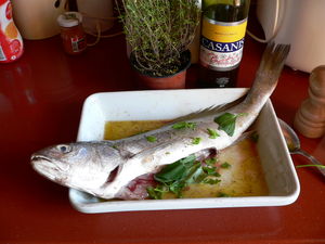 maigre_en__marinade