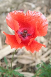 IMG_5572