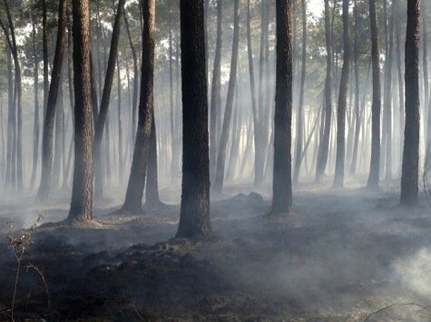 incendie de forêt les limites du système de prévention