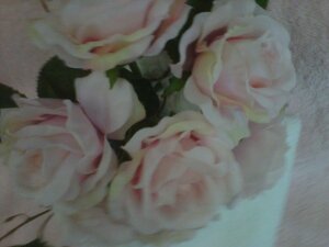 IMG00304-20120525-1205