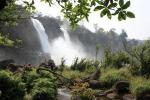 Chutes d'eau d'Athirappilly (1)