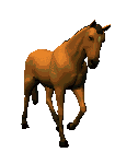 cheval_051