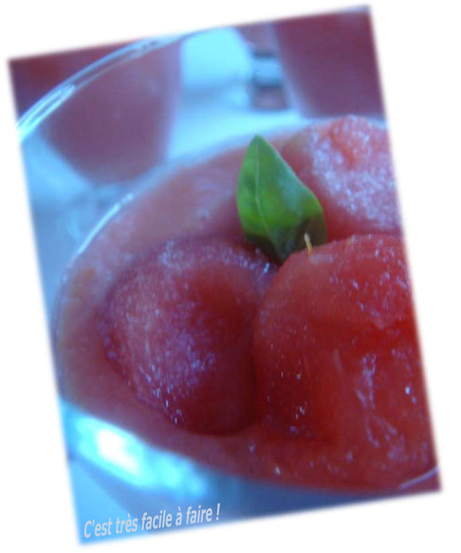 GASPACHO_TOMATES_PASTEQUE3