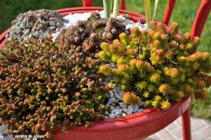 Chaise_a_sedums