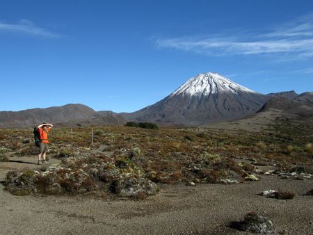 NZ (13)