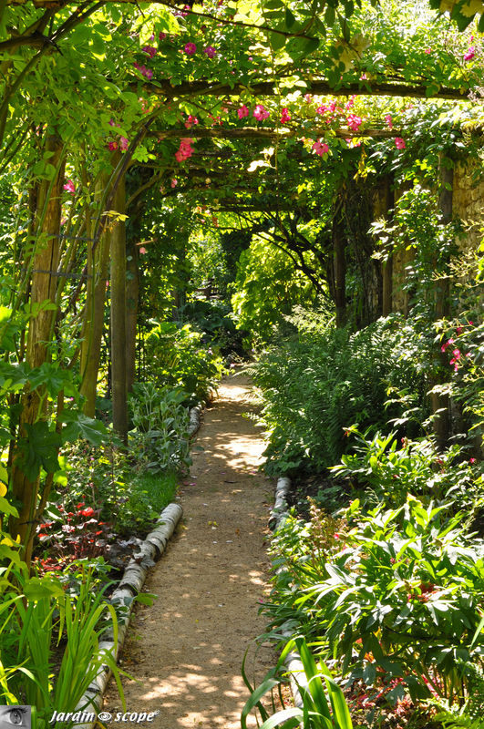 Les pergolas cachent les murs qui limitent le jardin