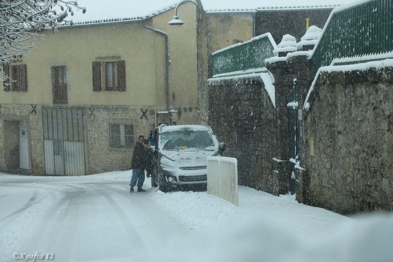 Photos JMP©Koufra 12 - Cornus - Neige - 28012019 - 0078