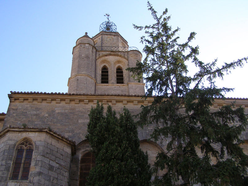 Caux (40)