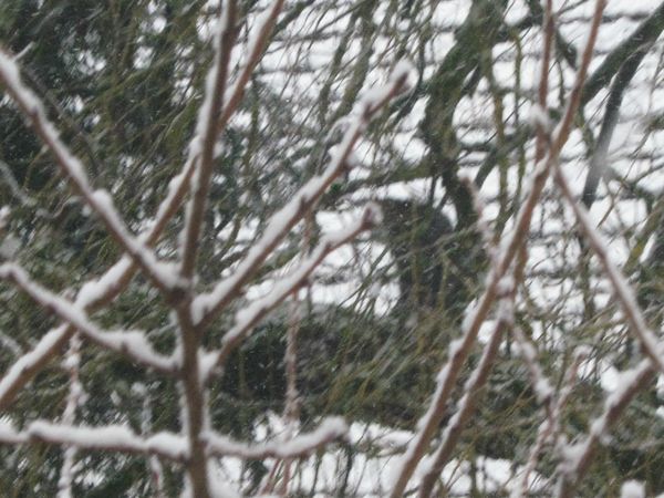 IMG_2748
