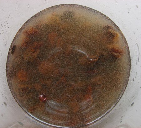 levains_aux_raisins_jour_1