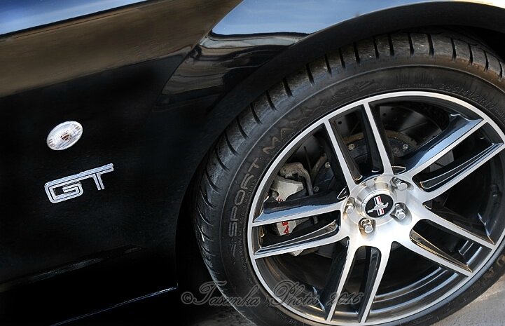 MustangGTASCdominator_Tasunkaphotos2017_ 06