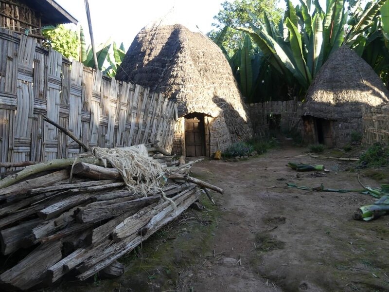 P1060409