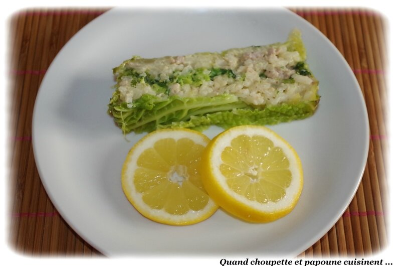 terrine fine au chou farci-4584