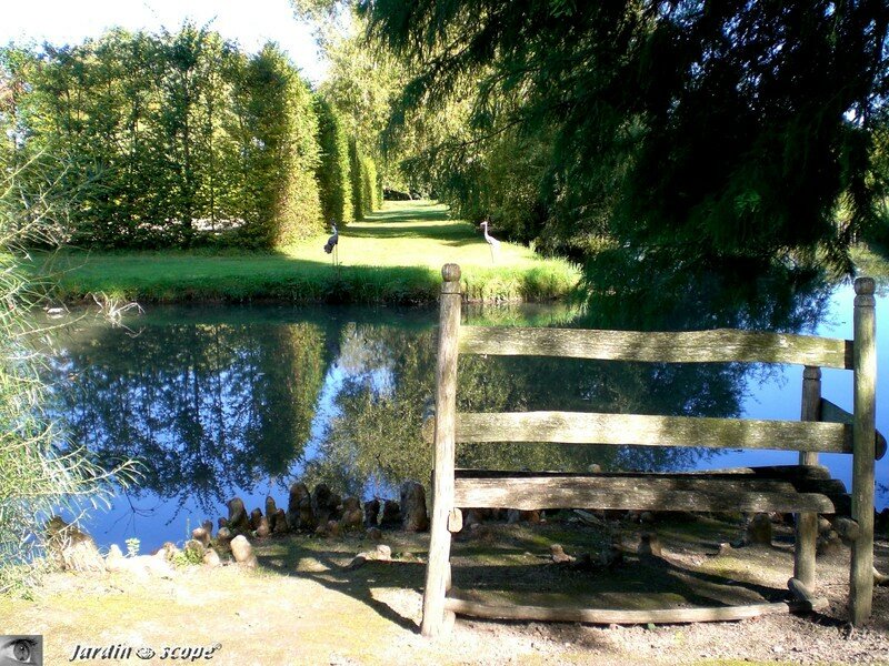 Banc en châtaignier sous le Cyprès chauve du jardin de l'Isle