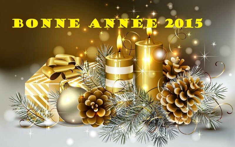 bonne annee 2015