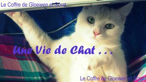 arbre a chat diy gloewen et scrat (1)