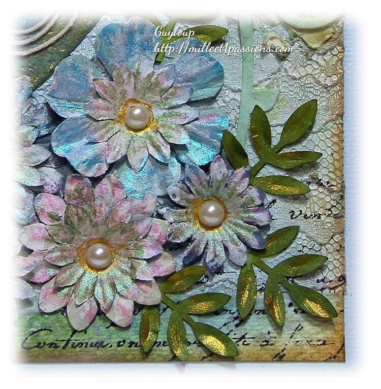 Image3