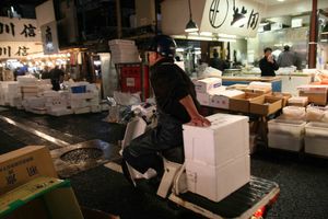 Tsukiji_market