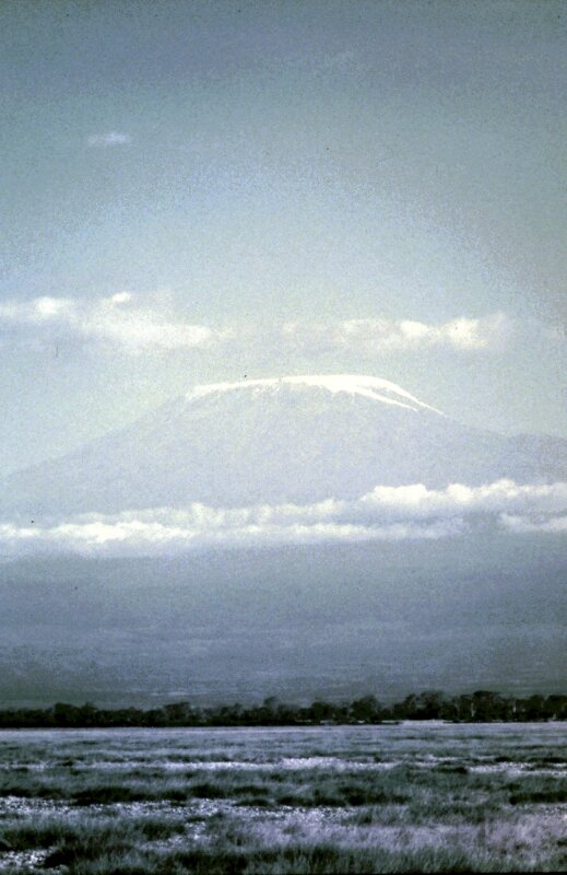 amboseli paysage y kili