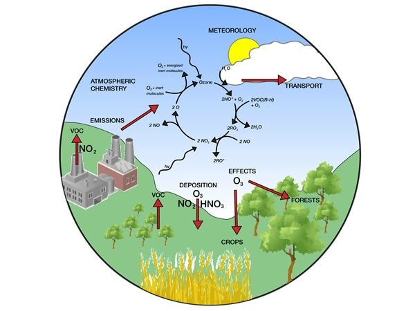 hse-voc-cycle