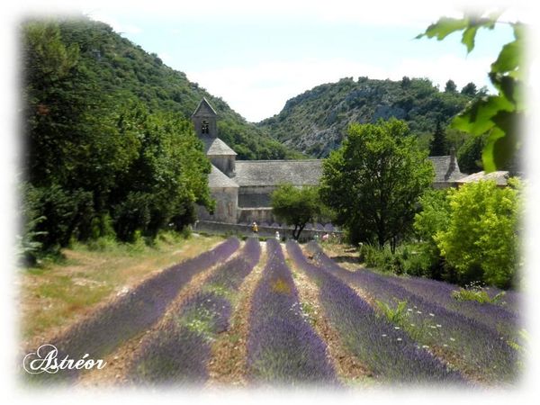 Abbaye_de_Senaque