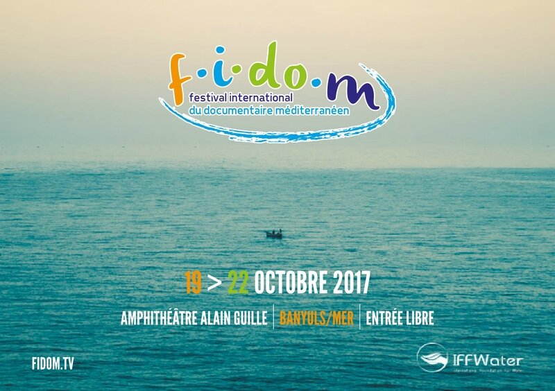 FIDOM-programme-WEB 2017-01