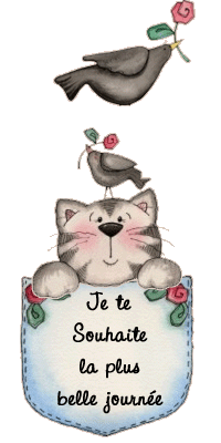 bonne_journ_e_chat