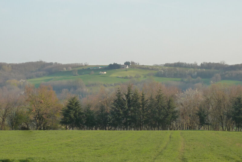 P1810603